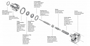 Winding-Stem diagram