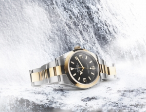 Rolex Explorer 36 mm Oystersteel and yellow gold Ref. 124273