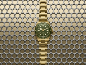 2024 Tudor Black Bay 18K Ref. M79018V-0006