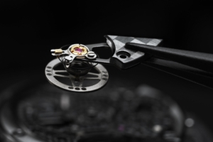 TH-Carbonspring Regulator Assortment